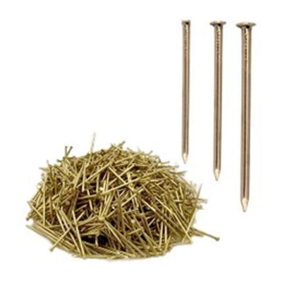 Bozkurt Çelik Çivi 2.40 TH Pervaz Başsız Sarı - 1