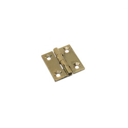 Evren Hinge Narrow Fixed 3Cm Yellow - Evren