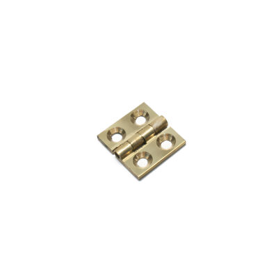 Evren Sabit Menteşe Mini Pirinç 2cm Sarı - 1