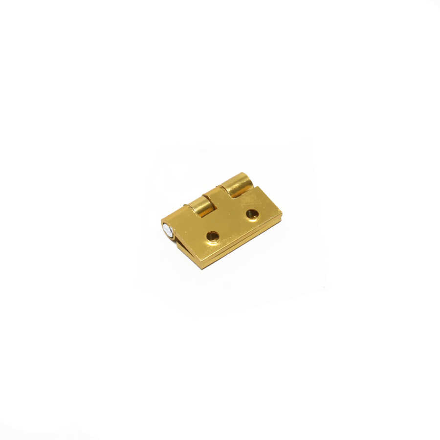 Güven Sabit Menteşe 2.5 cm Dar Alm Sarı