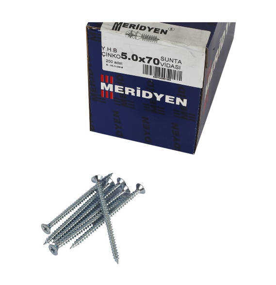 Meridyen Sunta Vidası 5.0x70 (200 Adet)