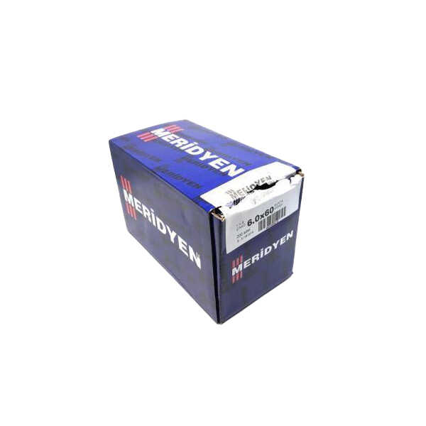 Meridyen Sunta Vidası 6.0x60 (200 Adet)