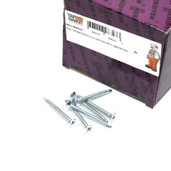 Meridyen Y.H.B. Self Drilling Screw 4.2X45 (500 pcset) - 2