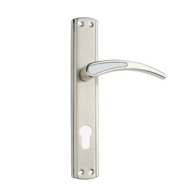 Nobel Satin Door Handle on Rose - 1