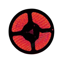 Oky Outdoor Led Red Big 5Mt - Oky