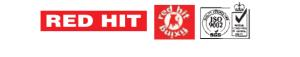 Red Hit Beton Çivisi 5x100 mm 100 Adet - 2