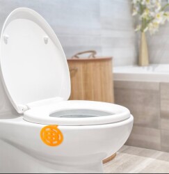 Rulopak Askılı Koku Giderici Mango - 2