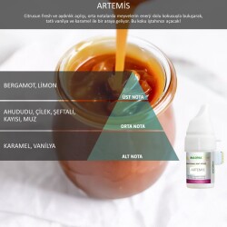 Rulopak Cosmic M5 Artemis Koku Kartuşu 100 ml - Rulopak