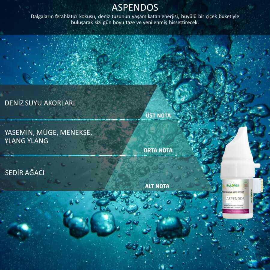 Rulopak Cosmic M5 Aspendos Koku Kartuşu 100 ml