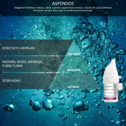 Rulopak Cosmic M5 Aspendos Koku Kartuşu 100 ml - Rulopak