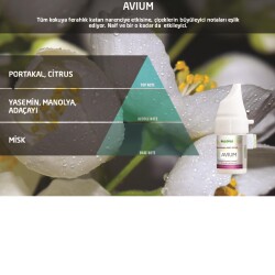 Rulopak Cosmic M5 Avium Koku Kartuşu 100 ml - Rulopak