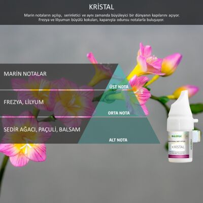 Rulopak Cosmic M5 Kristal Koku Kartuşu 100 ml - 1