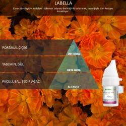 Rulopak Cosmic M5 Labella Koku Kartuşu 100 ml - Rulopak