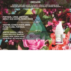 Rulopak Cosmic M5 Oregon Koku Kartuşu 100 ml - Rulopak