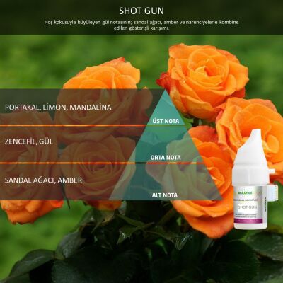 Rulopak Cosmic M5 Shot Gun Koku Kartuşu 100 ml - 1