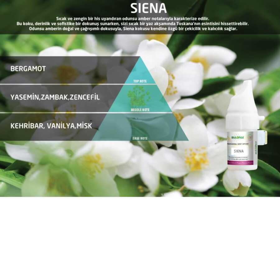 Rulopak Cosmic M5 Siena Koku Kartuşu 100 ml
