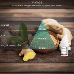 Rulopak Cosmic M5 Vintage Koku Kartuşu 100 ml - Rulopak