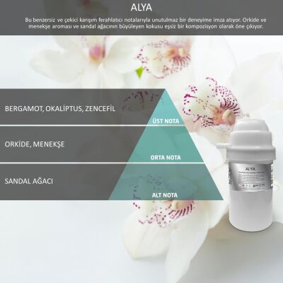 Rulopak Nanoplus M7 Alya Koku Kartuşu 200 ml - 1