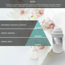 Rulopak Nanoplus M7 Alya Koku Kartuşu 200 ml - RULOPAK