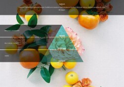 Rulopak Nanoplus M7 Aqua Koku Kartuşu 100 ml - 2