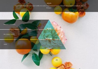 Rulopak Nanoplus M7 Aqua Koku Kartuşu 100 ml - 2