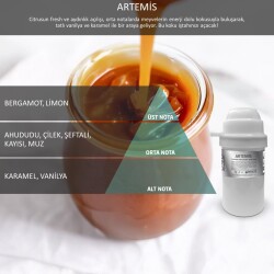 Rulopak Nanoplus M7 Artemis Koku Kartuşu 200 ml - RULOPAK