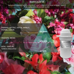 Rulopak Nanoplus M7 Kapadokya Koku Kartuşu 100 ml - Rulopak