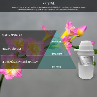 Rulopak Nanoplus M7 Kristal Koku Kartuşu 100 ml - 1
