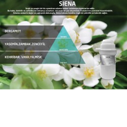 Rulopak Nanoplus M7 Siena Koku Kartuşu 100 ml - Rulopak