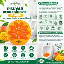 Rulopak Pisuvar Koku Giderici Mango - 3