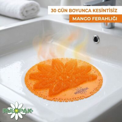 Rulopak Pisuvar Koku Giderici Mango - 6