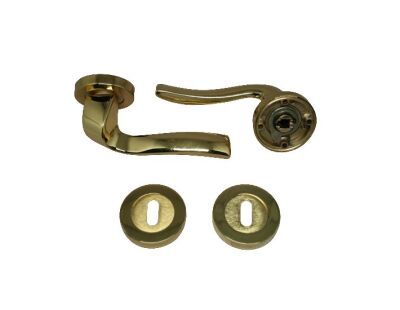 Tiviti Door Handle with Badge, Gold for Room - 1